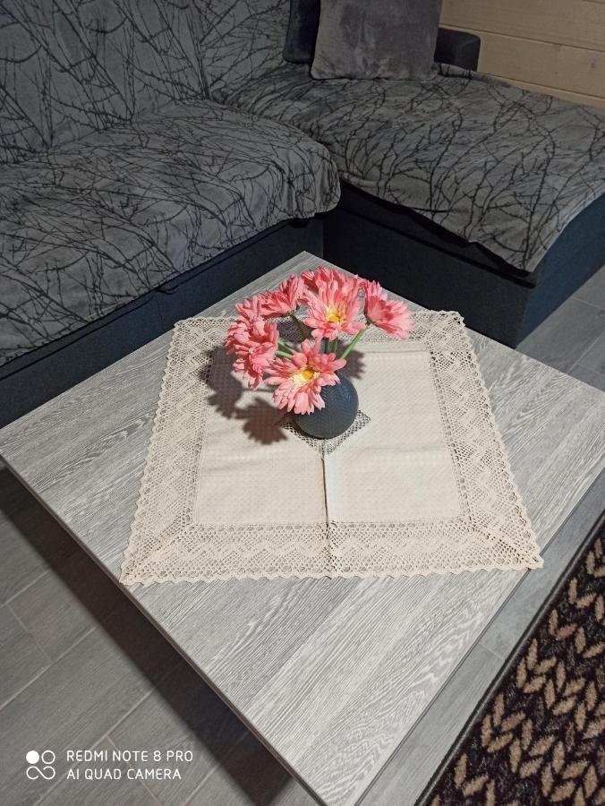 Brand New 2020 Specious Apartment Druzi 2 Palyanytsya Ngoại thất bức ảnh