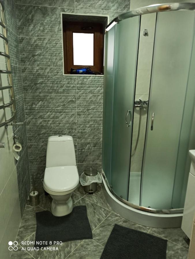 Brand New 2020 Specious Apartment Druzi 2 Palyanytsya Ngoại thất bức ảnh